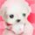 原版女子荣养大学毕业证【degxx.com】